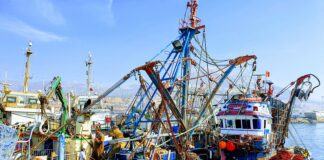 عاجل .. نجاة بحارين في حادث اصطدم بين مركب وقارب للصيد إنتهي بغرق الآخير بسواحل أكادير