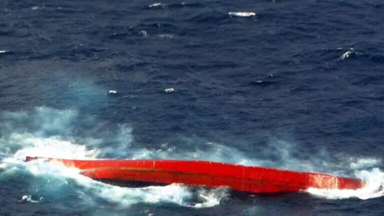 غرق سفينة شحن قبالة اليابان على متنها 43 شخصا و5867 بقرة