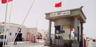 العيون.. هكذا تستعد مندوبية الصيد البحري لإنجاح إنطلاقة الموسم الشتوي للإخطبوط