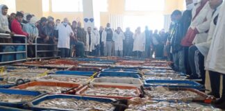 أخطبوط .. الصيد التقليدي بالداخلة يستنفذ 58 في المائة من الكوطا الموسمية بقيمة تجاوزت 178 مليون درهم
