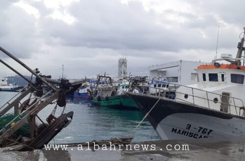 ميناء_ الصيد _طنجة