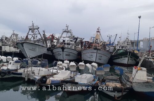 الصورة من الأرشيف ميناء طنجة