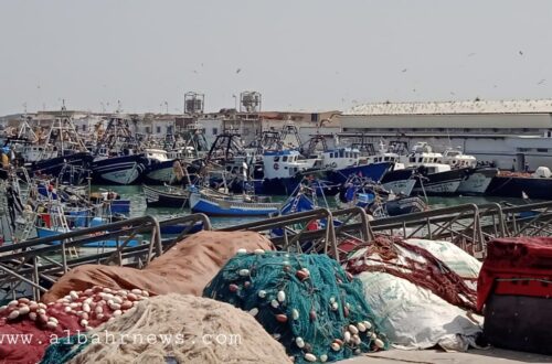 ميناء- العرائش