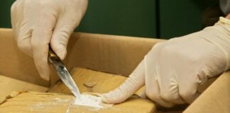 هولندا .. مطالب بتطبيق القانون الصارم في حق أفراد عصابة الأخطبوط التي أغرقت أوروبا ب”الكوكايين”