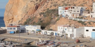 مندوبية الصيد البحري بالجبهة تقلص سقف مصطادات الأخطبوط المسموح بها لأسطول الصيد التقليدي ميناء- الجبهة