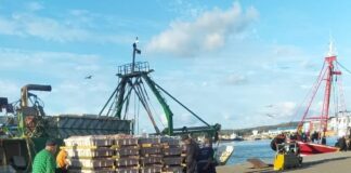 العرائش.. تجار السمك الأبيض يجدّدون مطالبهم الداعية لتوفير بقع بالميناء لإنجاز مستودعات تحفّز أنشطتهم المهنية
