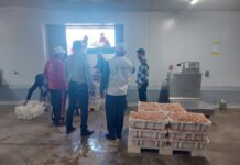 بوليميك المواد الحافظة بالأربيان .. كنفدرالية التجار تطالب “الإدارة” بإعتماد مقاربة تأطيرية وتكوينية