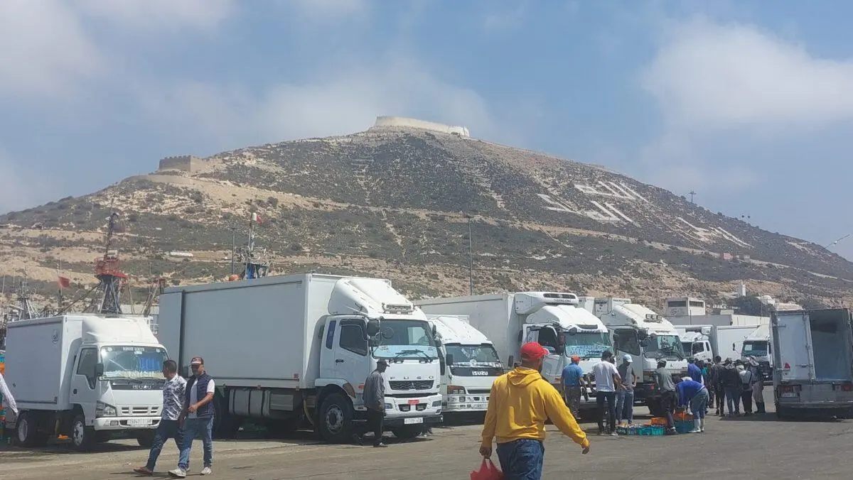 أكادير .. التراجع يعصف بمفرغات الصيد الساحلي والتقليدي