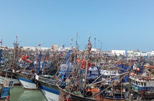 مراكب -الصيد -ميناء- العيون