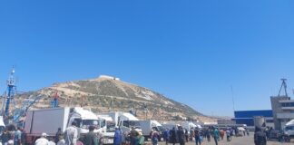 مفرغات الصيد الساحلي والتقليدي .. 2025 تسجل تراجعا في الحجم والقيمة