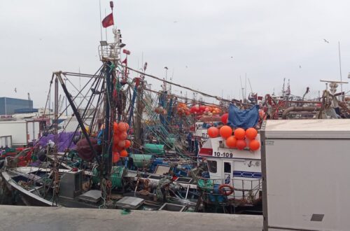 IMG-20250522-WA0024