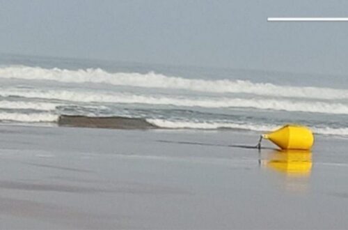 IMG-20250829-WA0070
