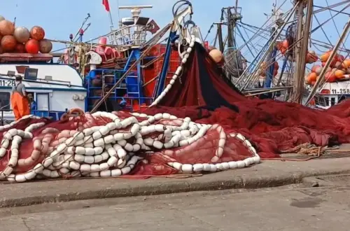 -سوسان- الشبكة- طانطان -سوسان- الشبكة- طانطان