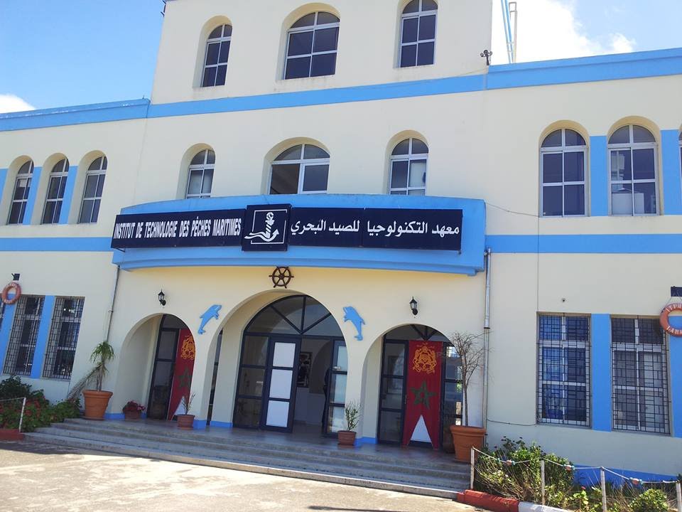 تكوين تجار السمك بالجملة يثير الجدل بالعرائش !