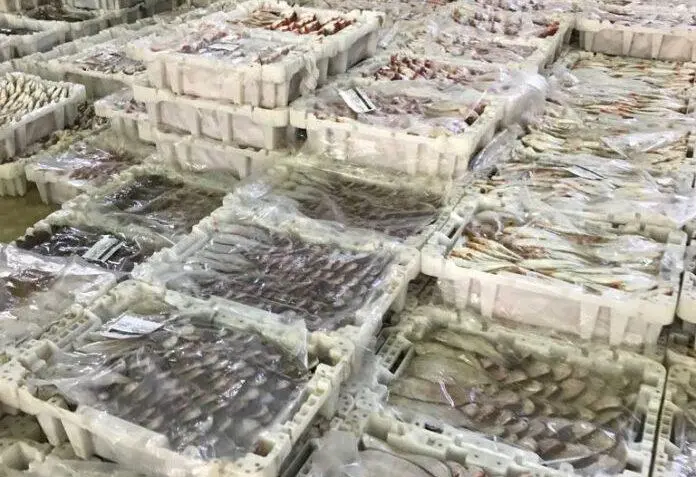إنكماش موانئ الجنوب يضغط على حصيلة مفرغات السمك الأبيض