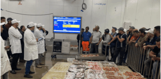 المجلس الأعلى للحسابات يوصي بمراجعة منظومة تسويق وتثمين منتوجات الصيد