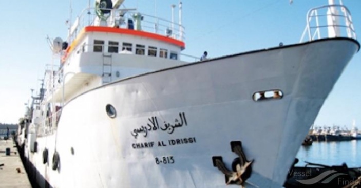 رحلة استكشافية تعيد قراءة مصيدة الأخطبوط .. 105 نوعاً بحرياً في رصد علمي للمصيدة الجنوبية