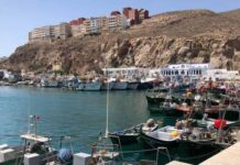 لجنة “SRC-WM” تعلن إطلاق المرحلة الثانية من برنامج “MedSea4Fish” بالمغرب
