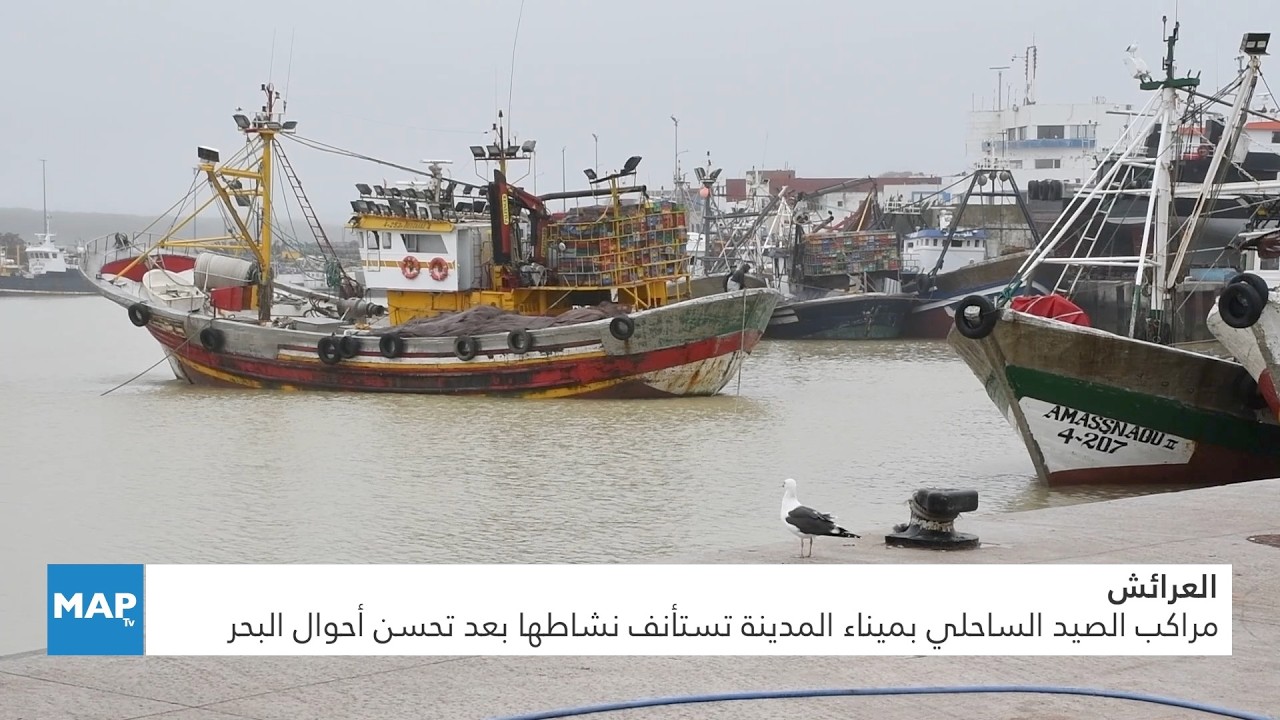 العرائش.. مراكب الصيد الساحلي بميناء المدينة تستأنف نشاطها بعد تحسن أحوال البحر