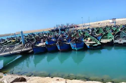 بوجدور