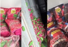 ميناء طنجة المتوسط.. إحباط تهريب 140 ألف قرص مهلوس “إكستازي”