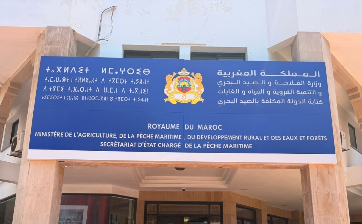 رصد إختلالات في التصريح بالمصطادات .. الإدارة تراسل المناديب للرفع من اليقظة