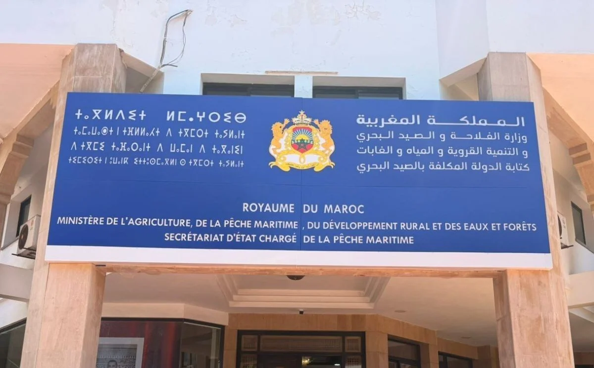 رصد إختلالات في التصريح بالمصطادات .. الإدارة تراسل المناديب للرفع من اليقظة