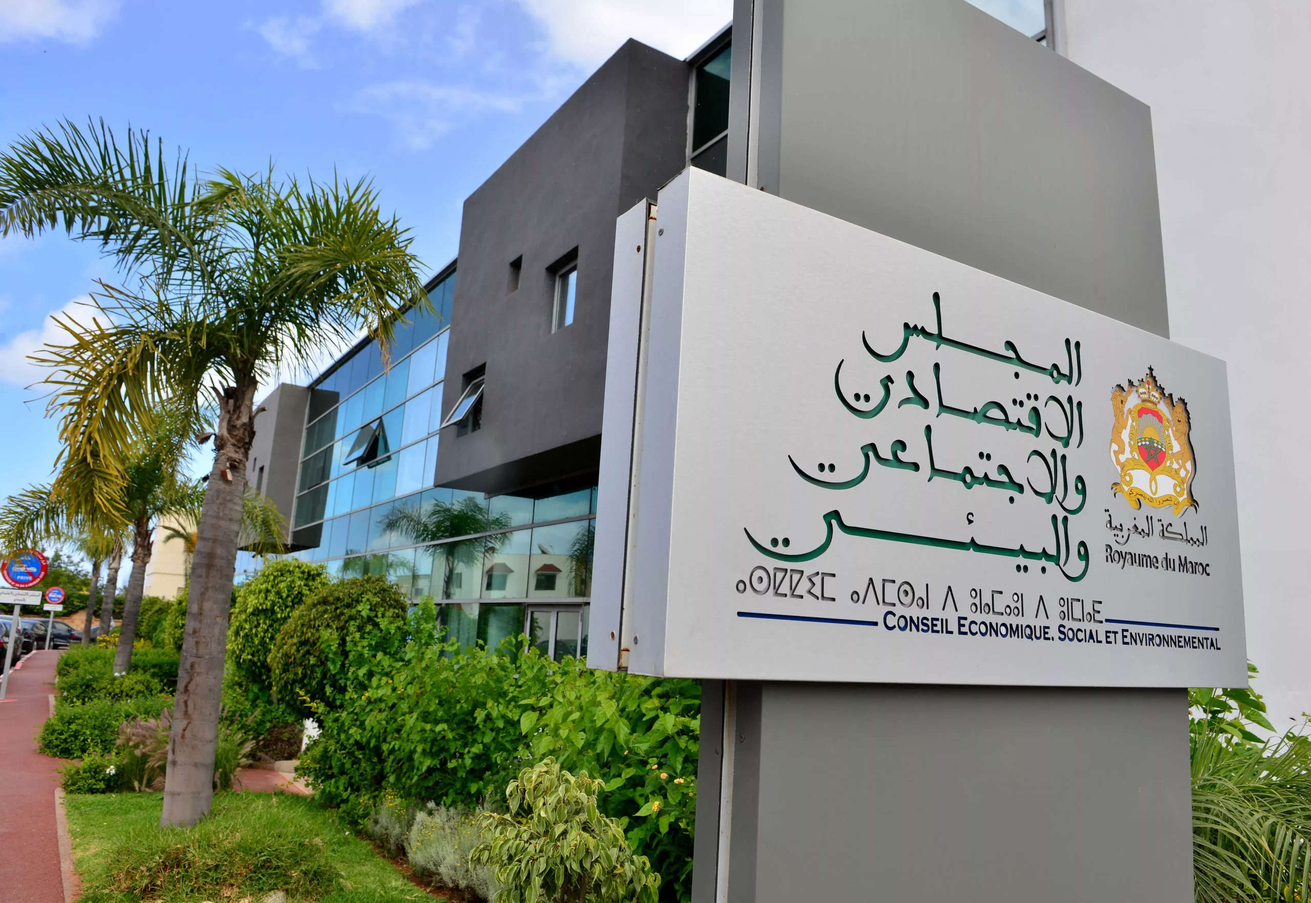 التكوين المستمر في القطاع الخاص .. “CESE” يدعو إلى إصلاح استعجالي للمنظومة