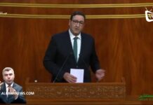 الوزير قيوح : المغرب يشتغل على إحداث مركز بالصحراء لمراقبة السفن بالمحيط الأطلسي (فيديو)