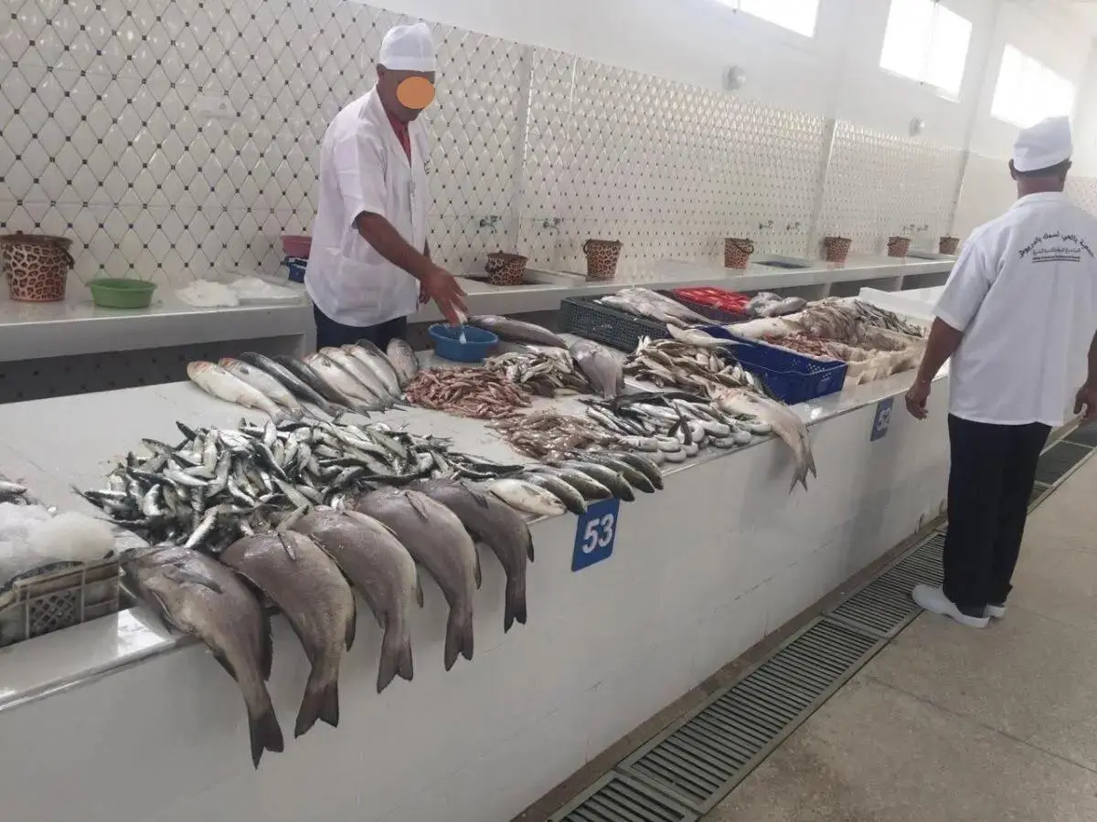 تقرير يرصد إرتفاعا في أثمان السمك وفواكه البحر خلال غشت المنصرم