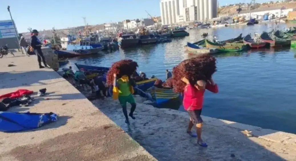 آسفي ..تمديد موسم جمع الطحالب إلى منتصف أكتوبر