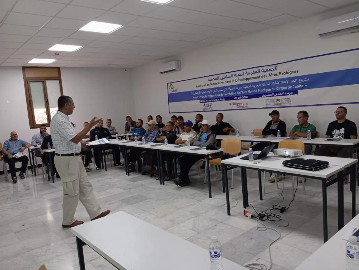 الجبهة .. ورشة عمل لإطلاق مشروع المحمية البحرية بالجبهة